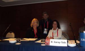 Világkonferencia, Róma 2014