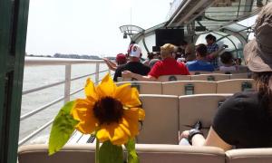 Scleroderma világnap, 2016