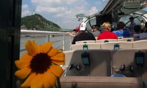 Scleroderma világnap, 2016